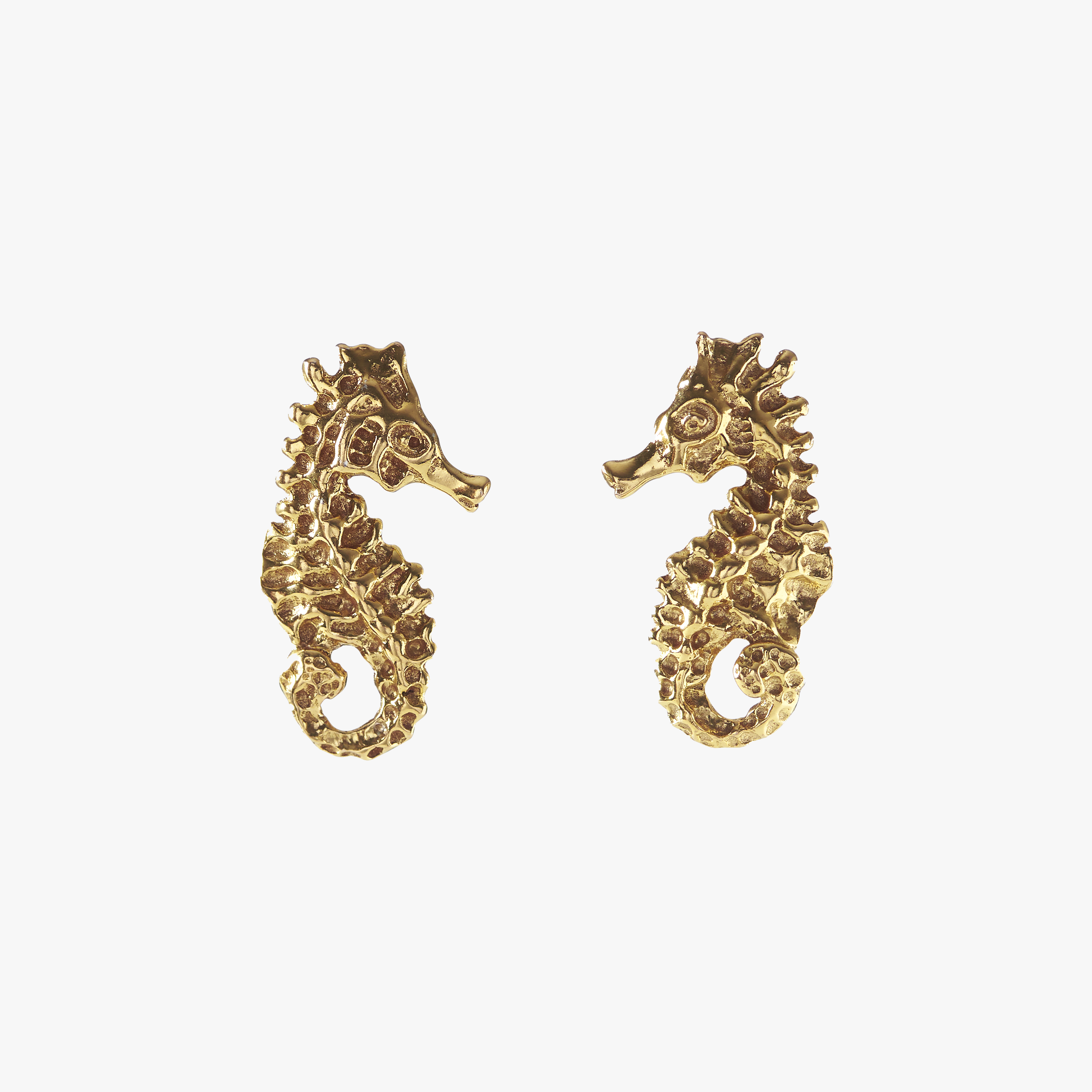 Ilot Seahorse Gold - Oceano Pearls