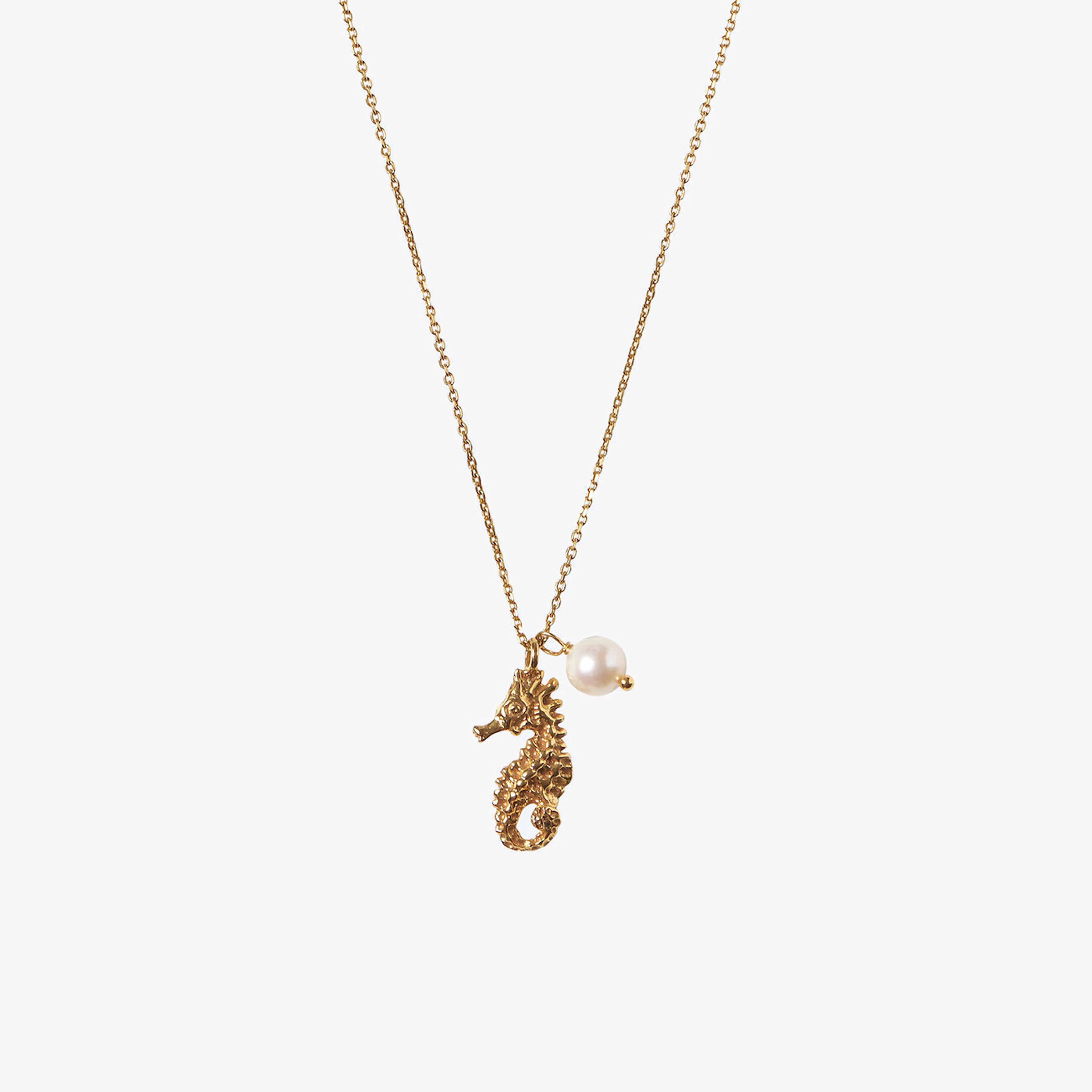 Trou d'Eau Douce Gold Seahorse - Oceano Pearls