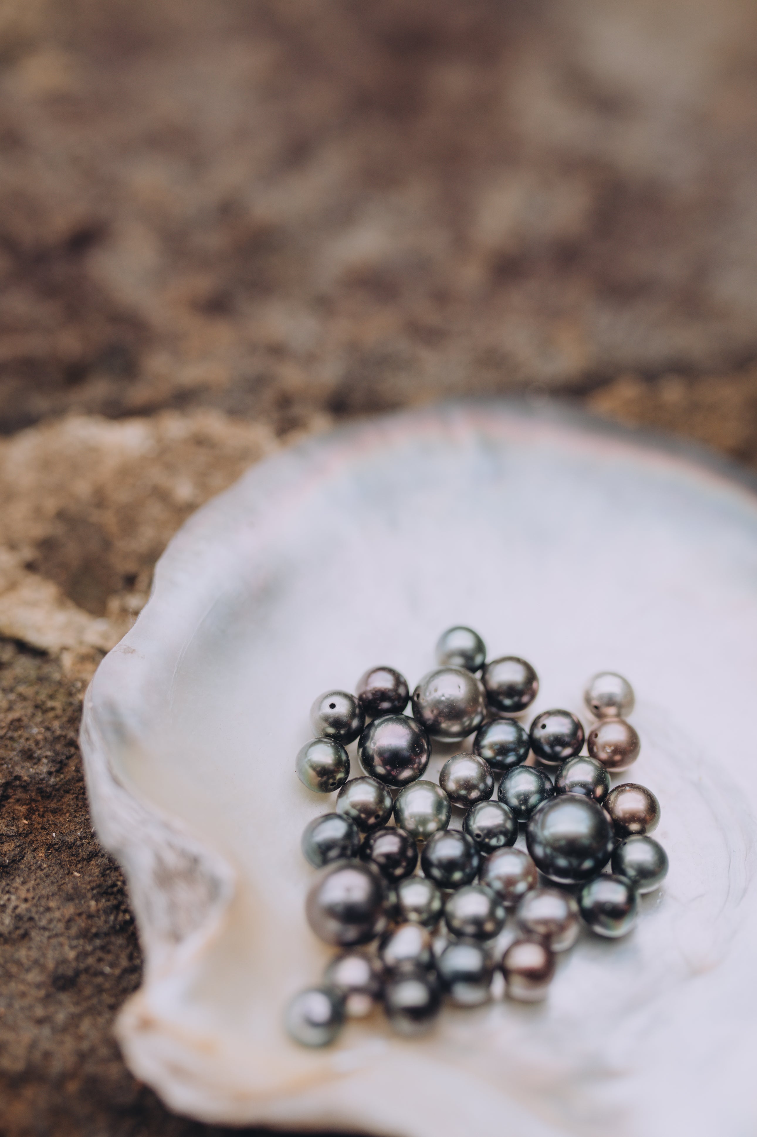 Exploring the Origins of Our Pearls: From Pristine Waters to Our Shores - Oceano Pearls