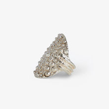 Load image into Gallery viewer, Grand Gaube Silver
