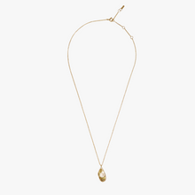Load image into Gallery viewer, Ilot Flamand Gold
