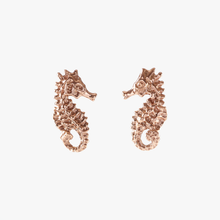 Load image into Gallery viewer, Ilot Seahorse Rose Gold
