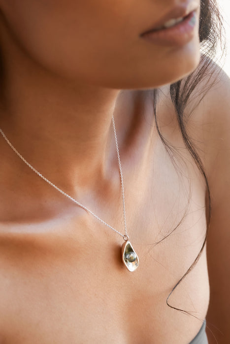 Ilot Flamand Silver