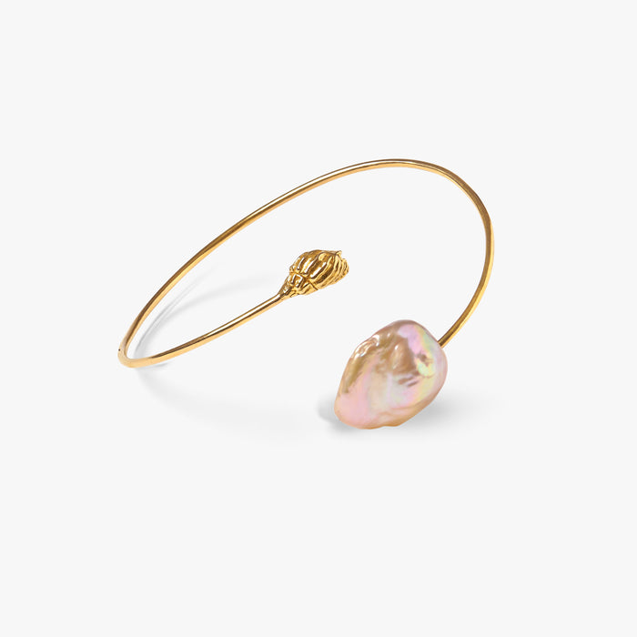 Trou d'Eau Douce Gold Baroque Conch