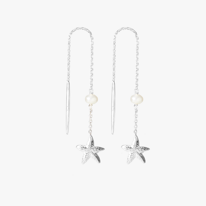 Les Salines Silver Starfish