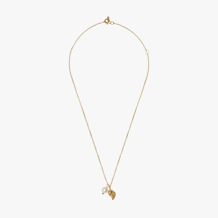 Trou d'Eau Douce Gold Shell