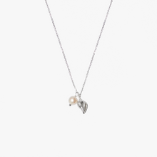 Load image into Gallery viewer, Trou d&#39;Eau Douce Silver Shell
