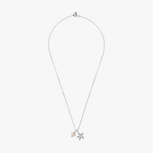 Load image into Gallery viewer, Trou d&#39;Eau Douce Silver Starfish
