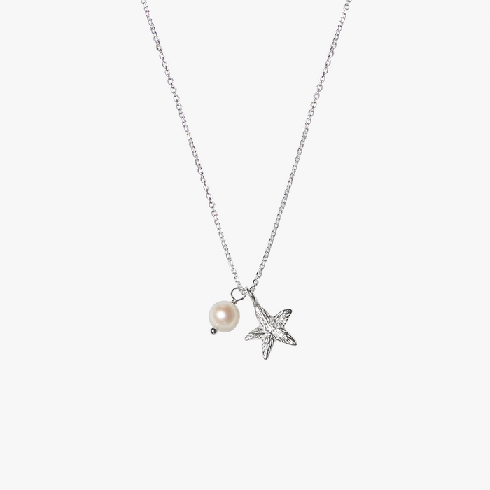 Trou d'Eau Douce Silver Starfish