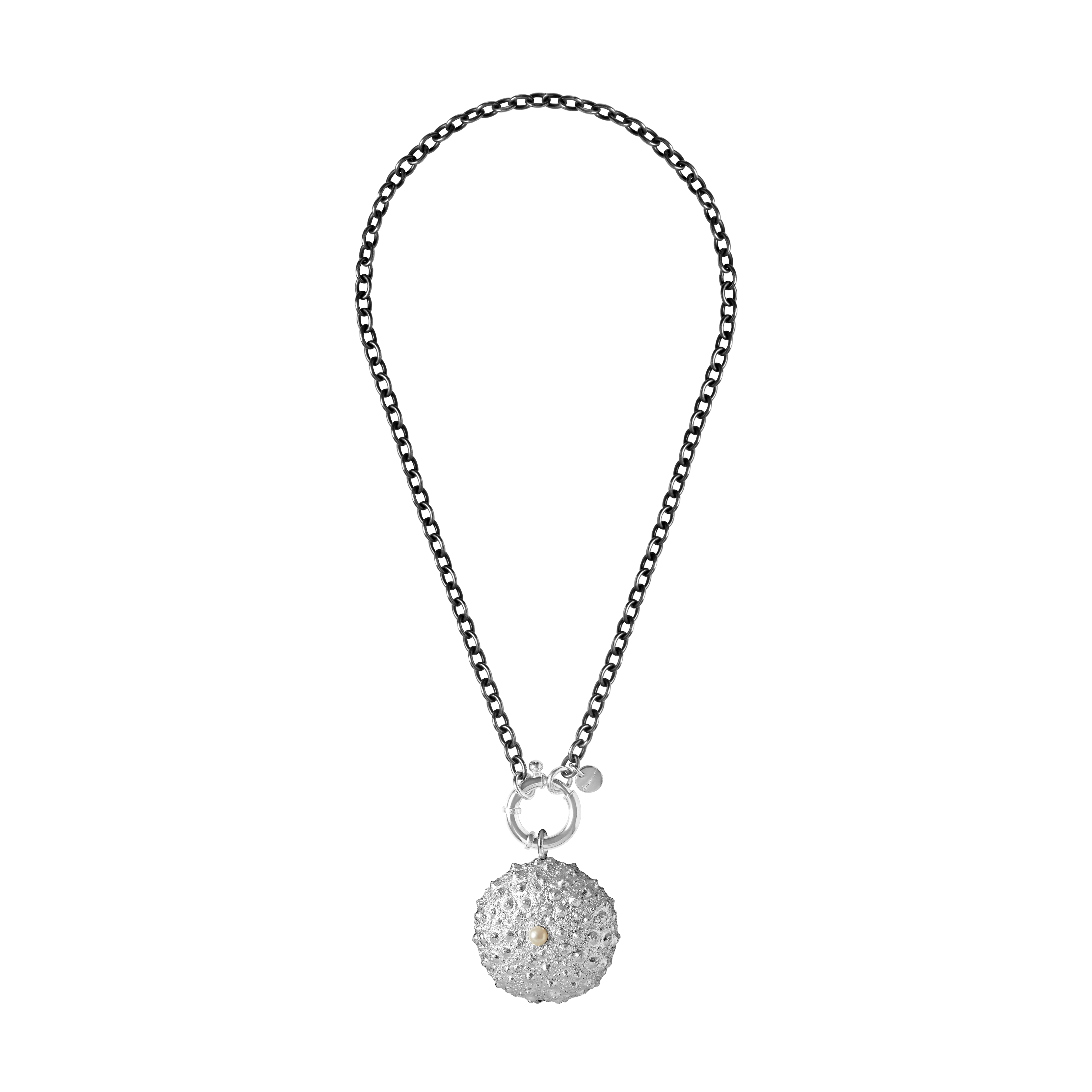 St Géran Silver Sea Urchin