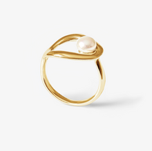 Load image into Gallery viewer, Pamplemousse Gold
