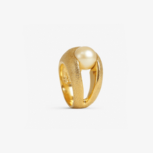 Load image into Gallery viewer, Astroea Gold Diamante
